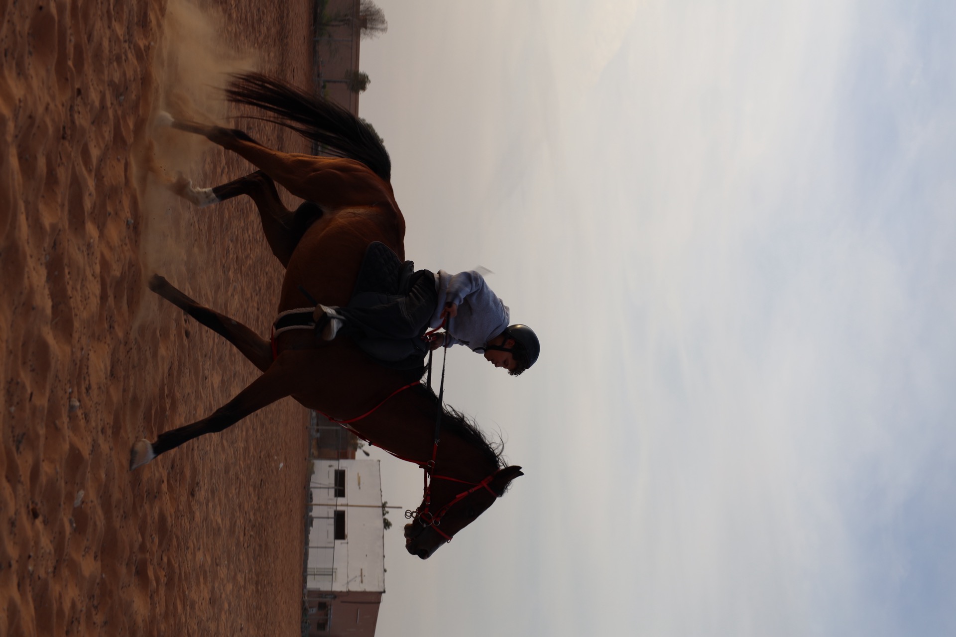 Horseback riding
