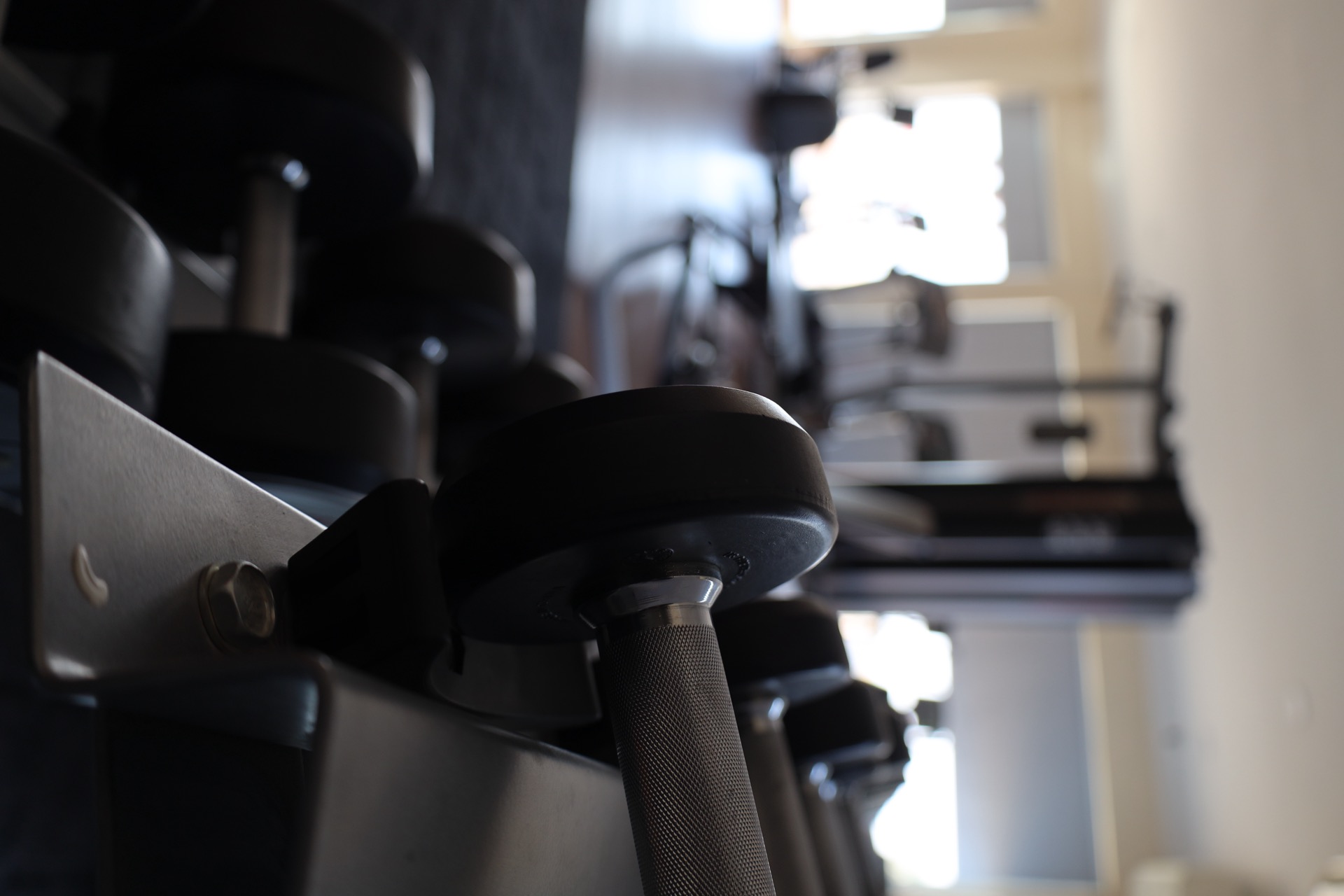 Gym & Fitness